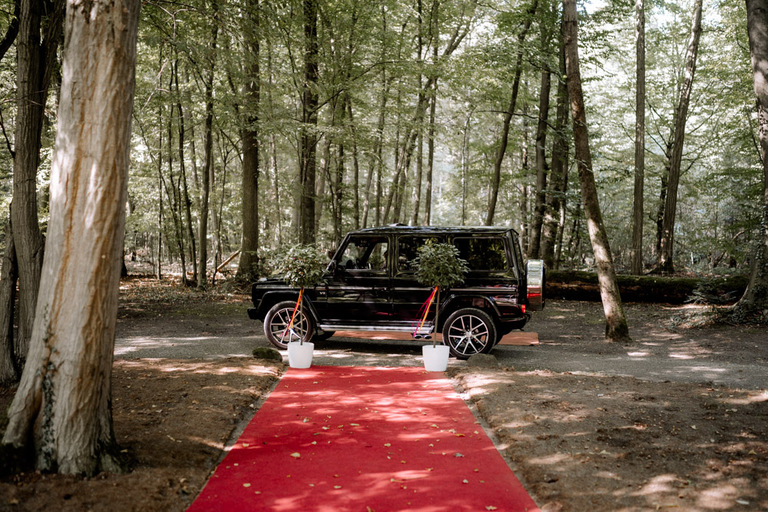 Hochzeitsauto auf rotem Teppich im Schlosspark von Schloss Eldingen.
