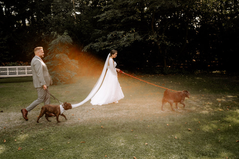 Das Brautpaar spaziert mit zwei Hunden durch den Garten des Schlosses.